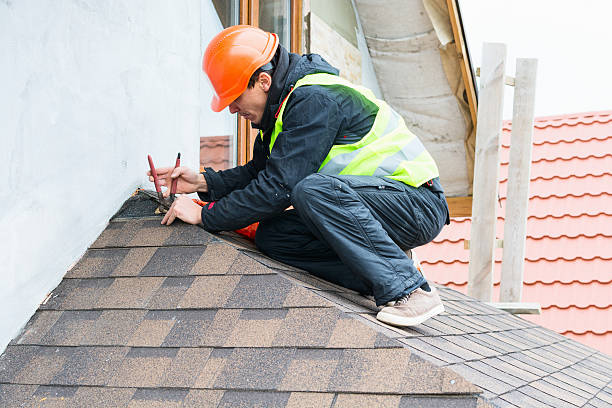 Best Residential Roofing Contractor  in Royal Palm Estates, FL