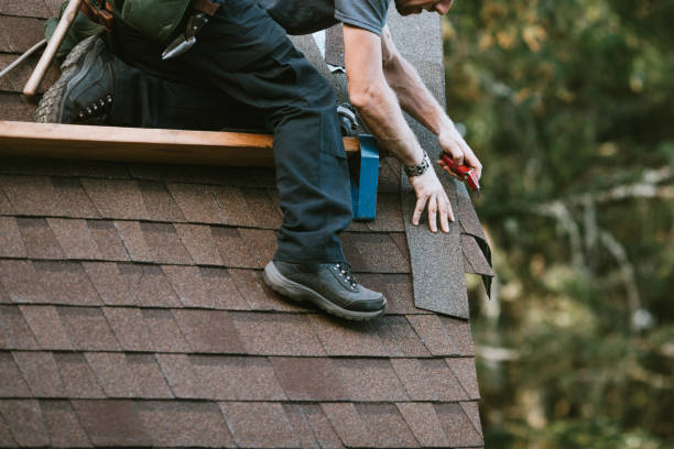Best Shingle Roofing Installation  in Royal Palm Estates, FL