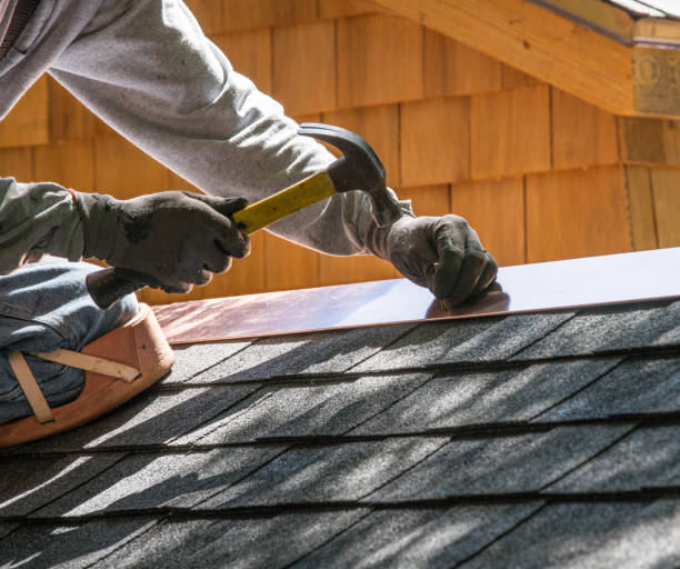 Best Roof Gutter Cleaning  in Royal Palm Estates, FL